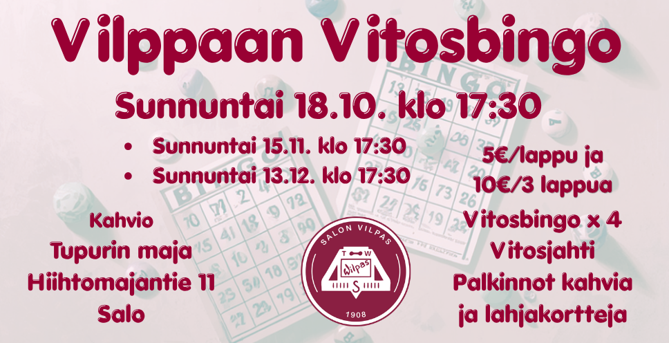 Vilppaan bingo 82 x 42 mm